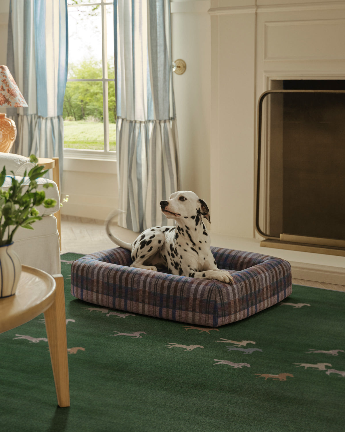 pet_bed_medium