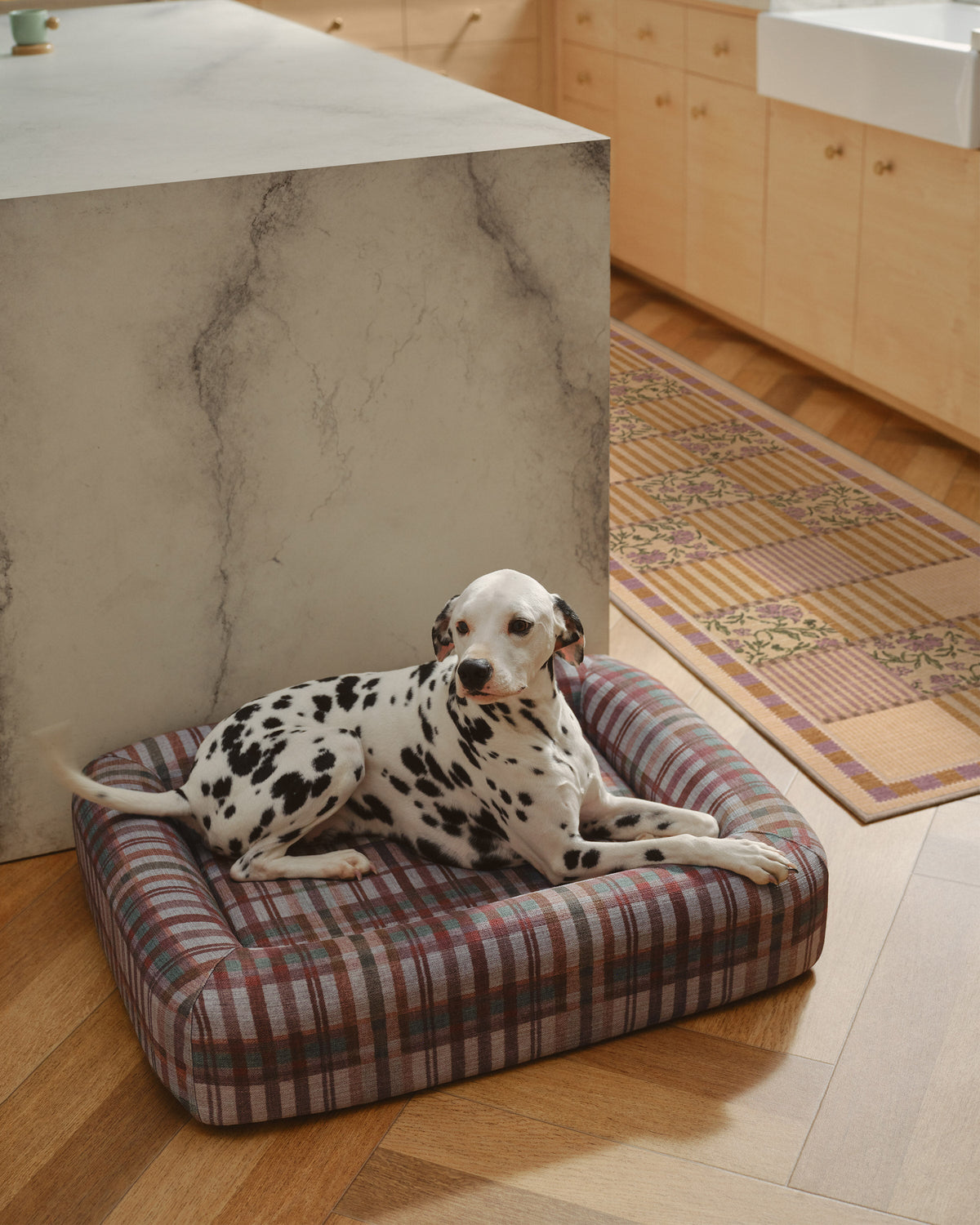 pet_bed_medium
