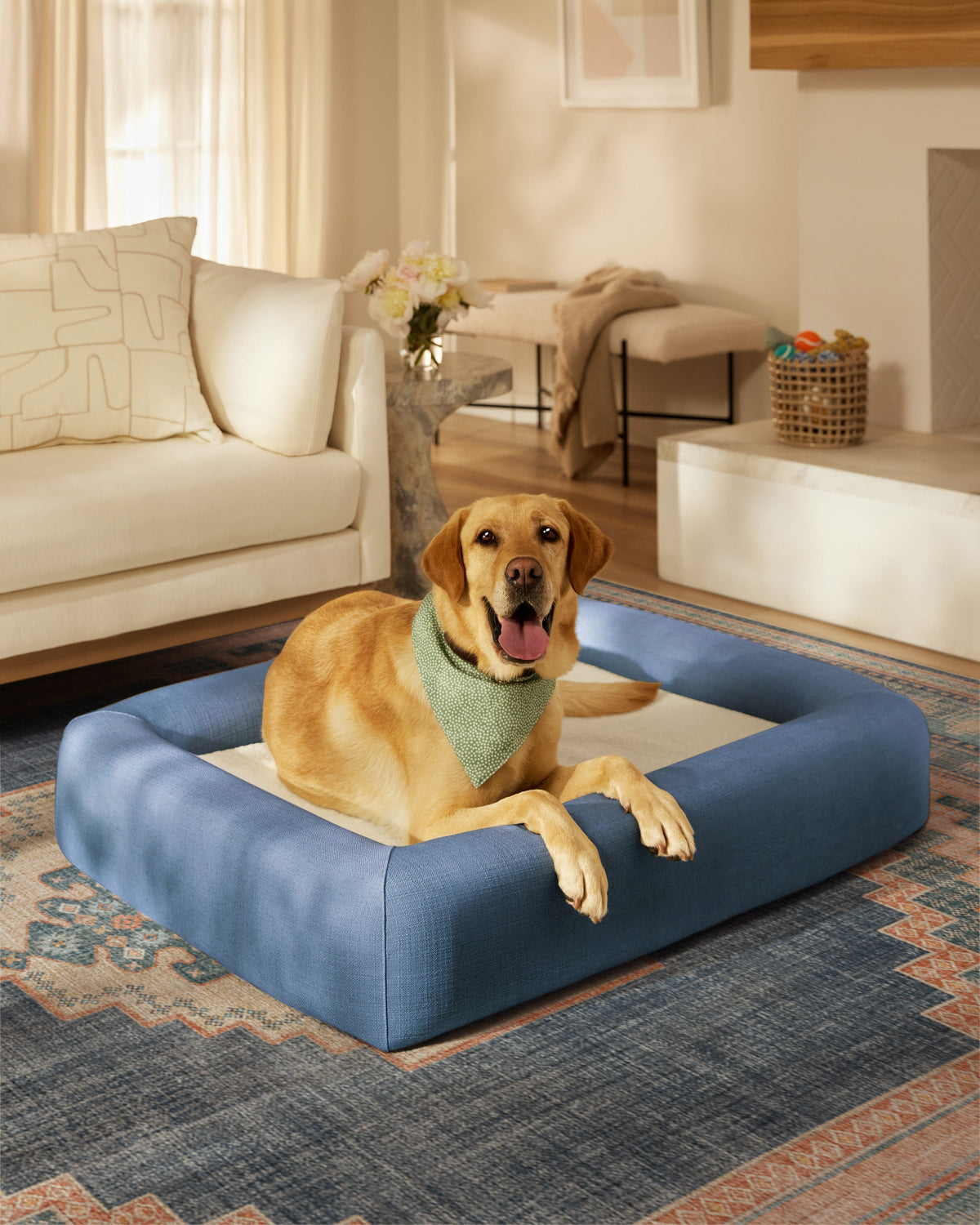 pet_bed_large
