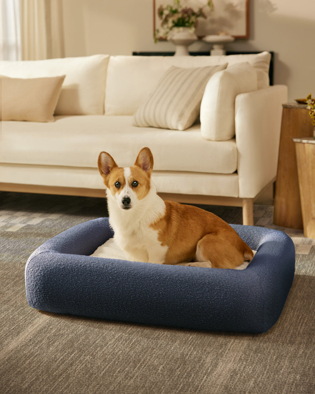 pet_bed_medium