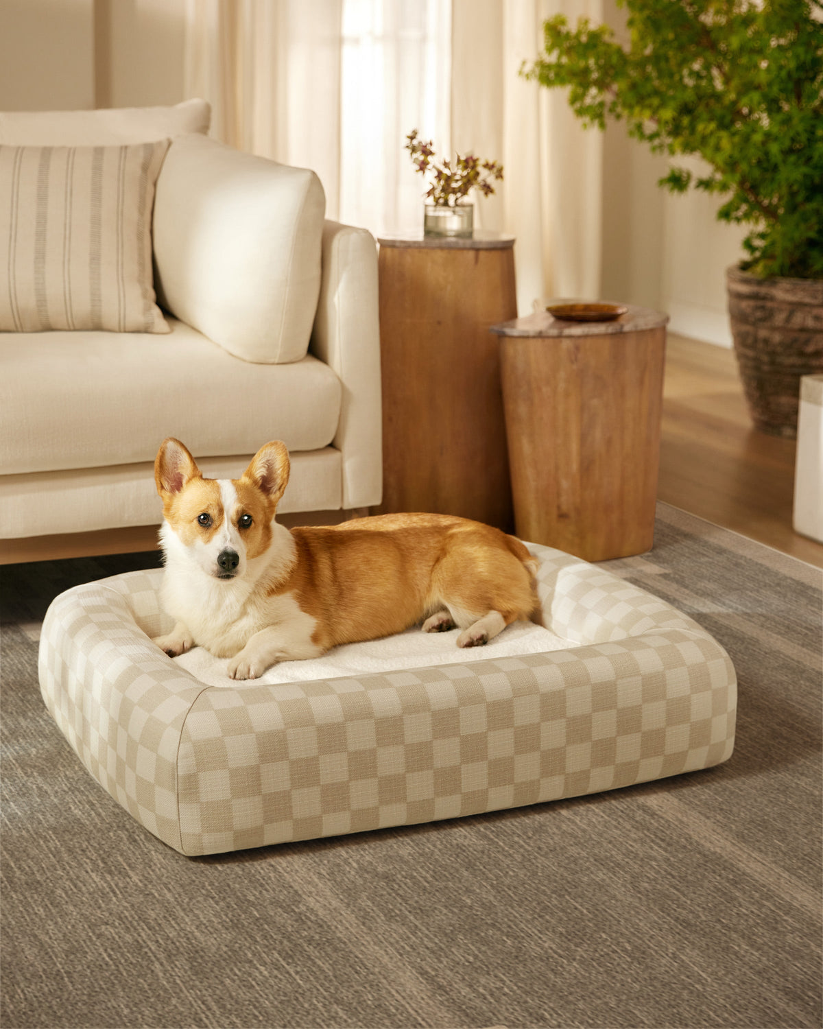 pet_bed_small