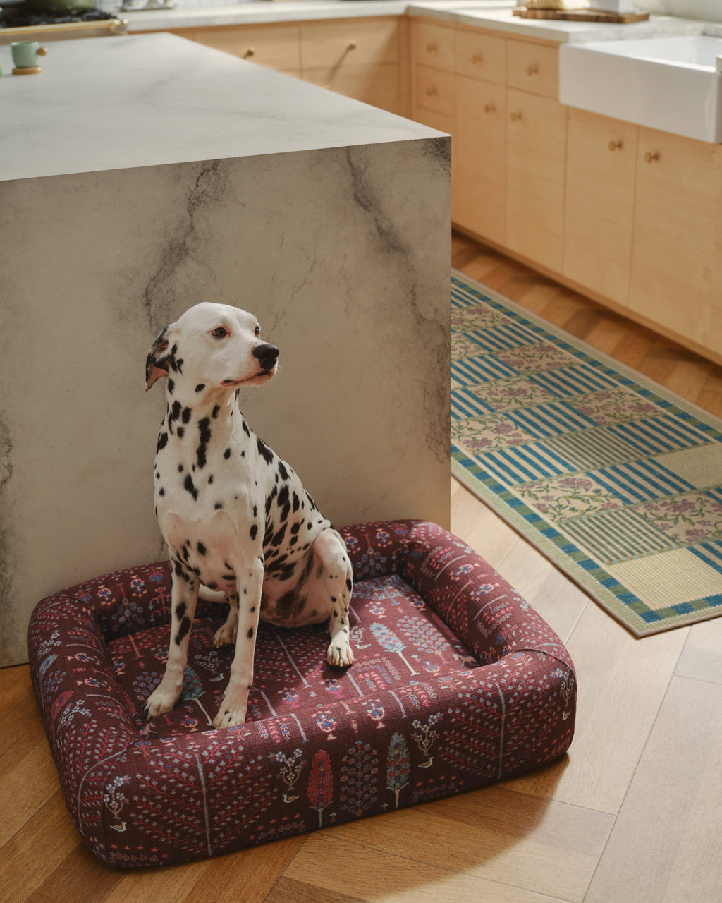 pet_bed_medium