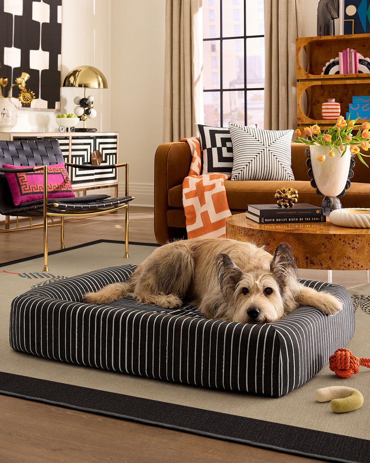 pet_bed_large