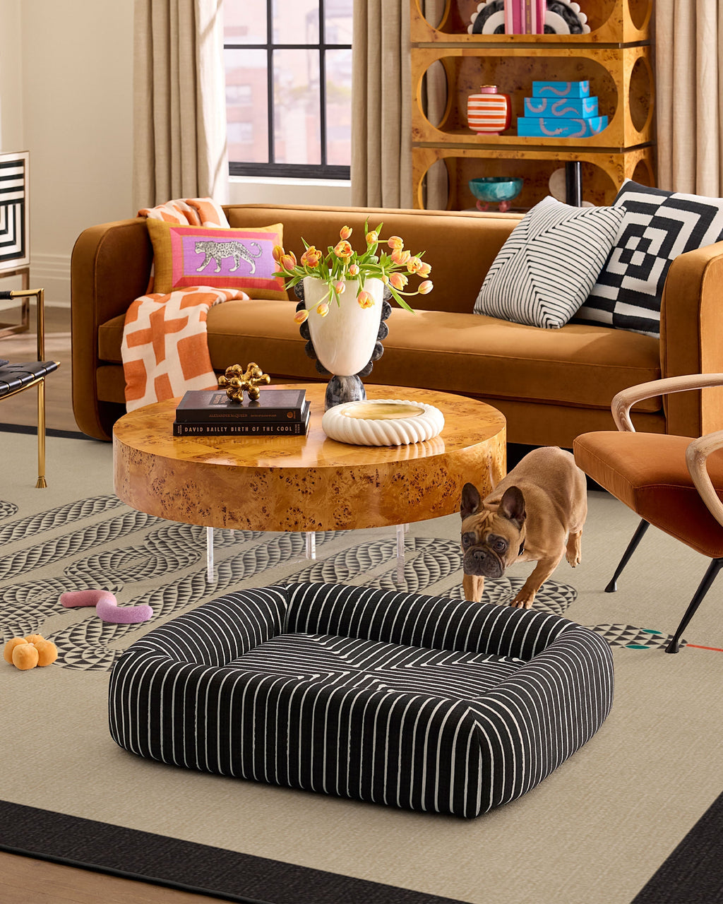 pet_bed_medium