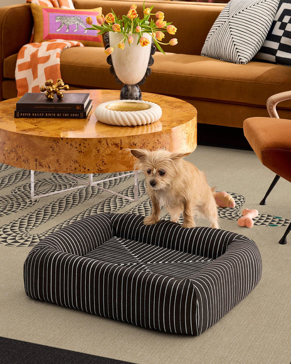 pet_bed_small