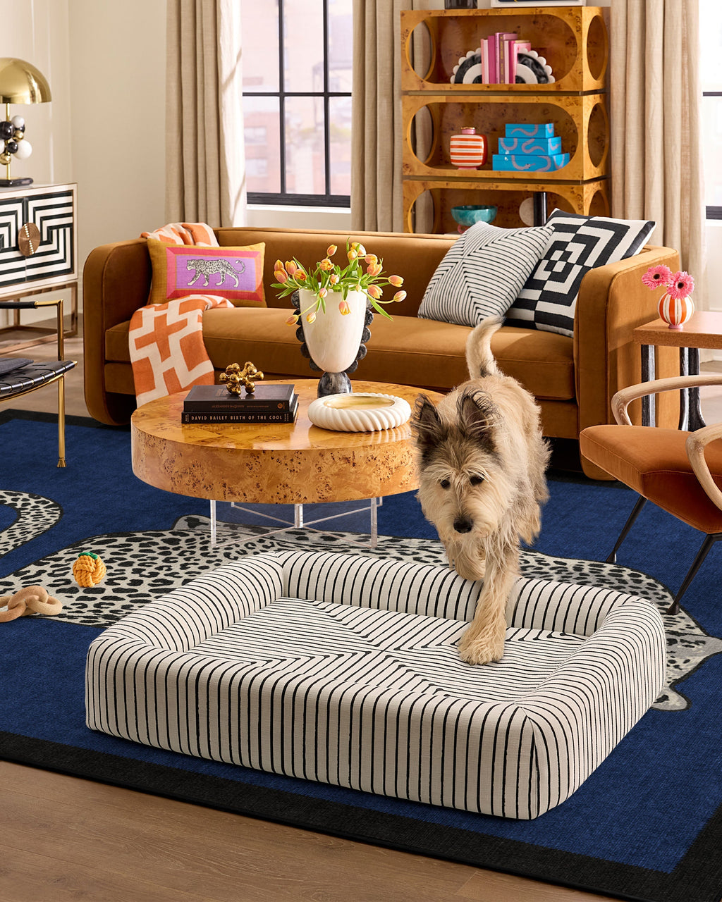 pet_bed_large