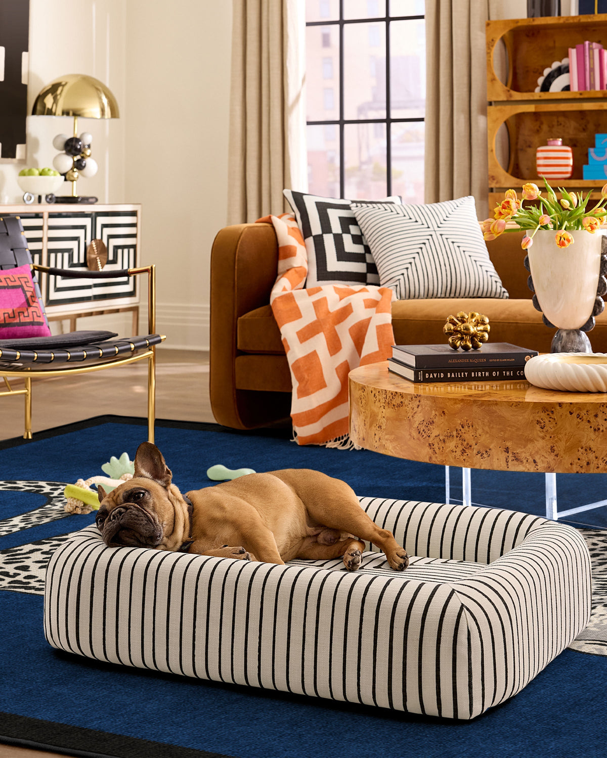 pet_bed_medium