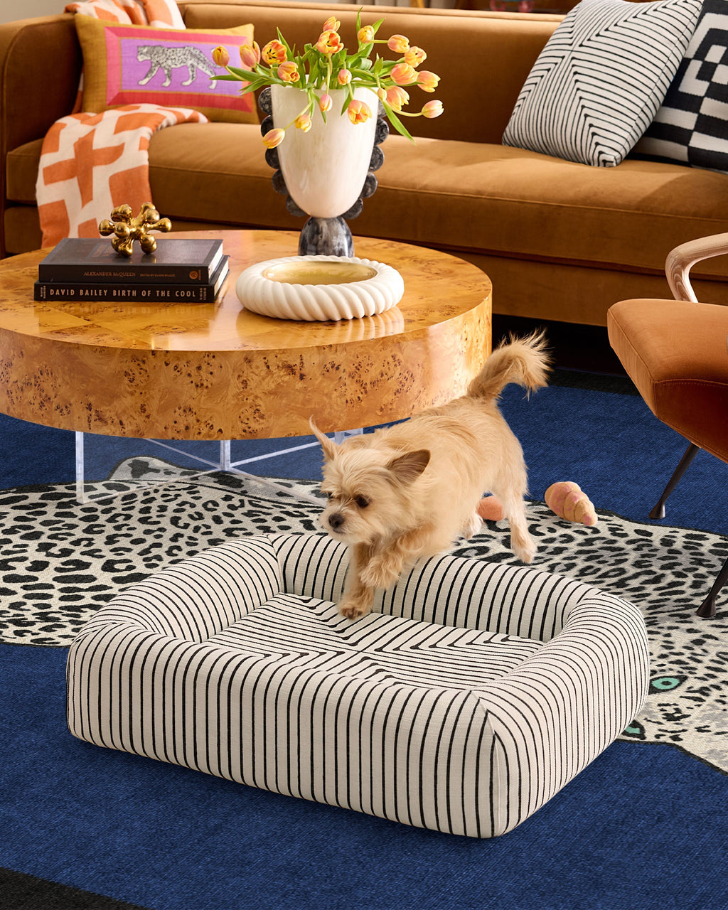pet_bed_small