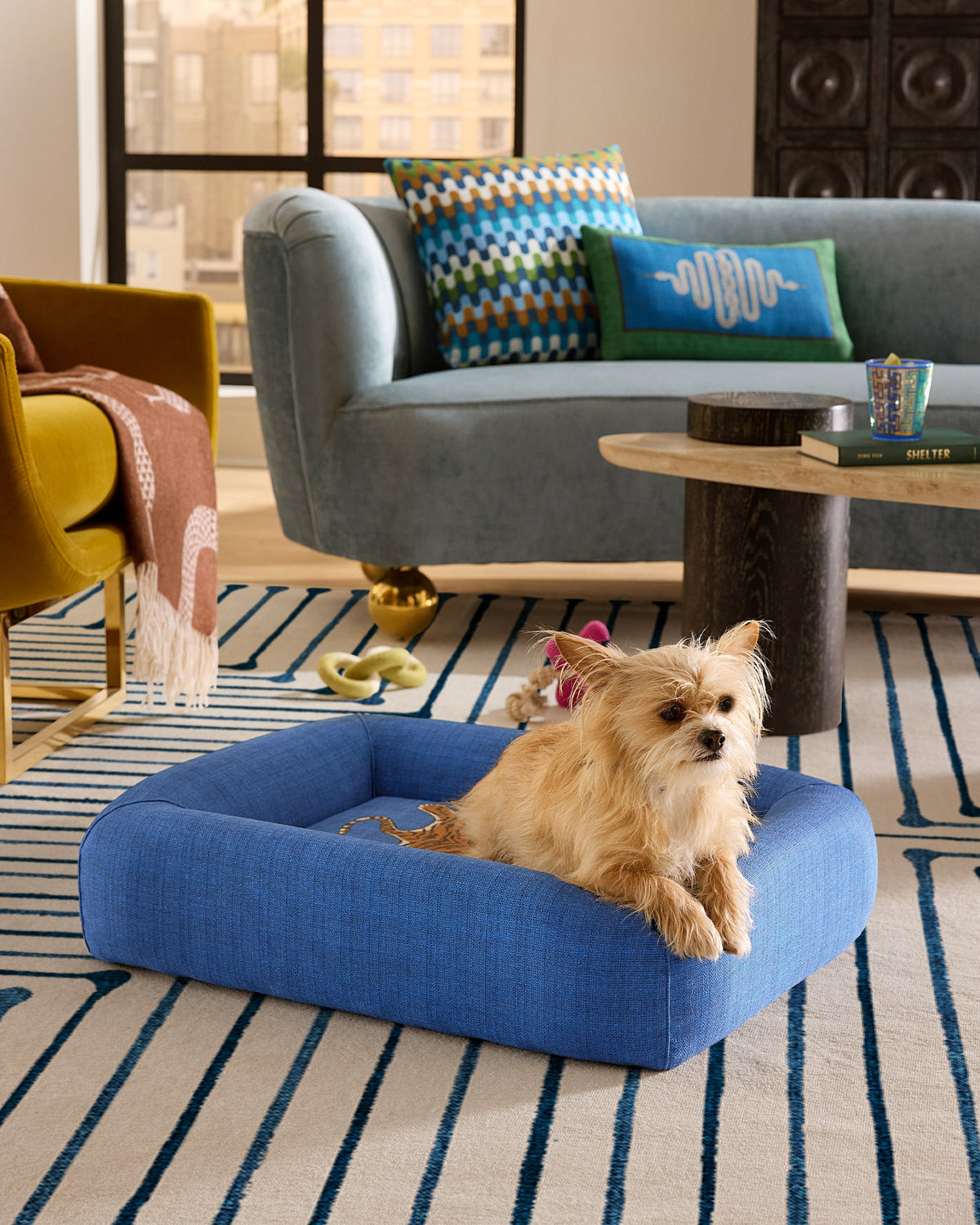 pet_bed_small