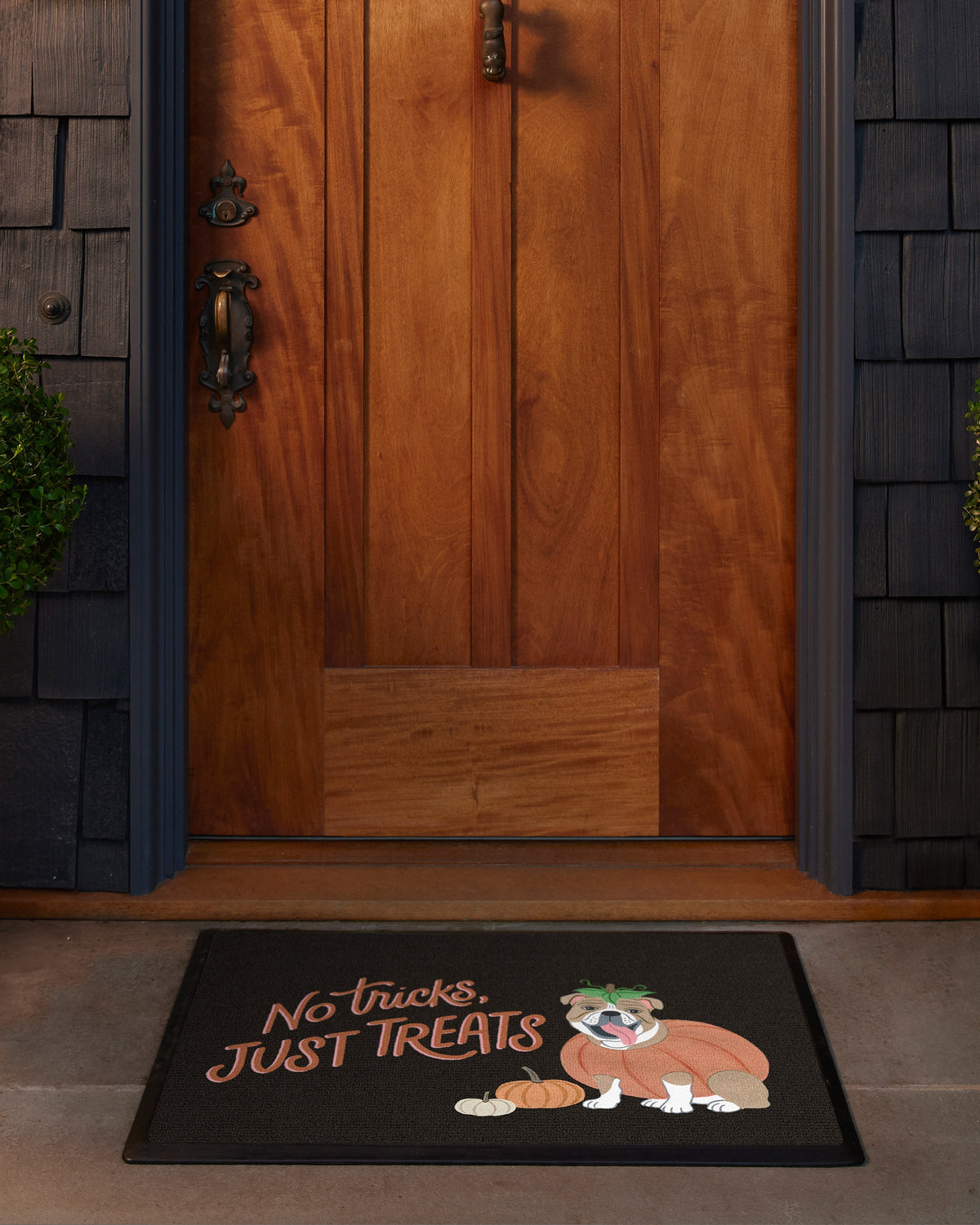 2x3_front_door