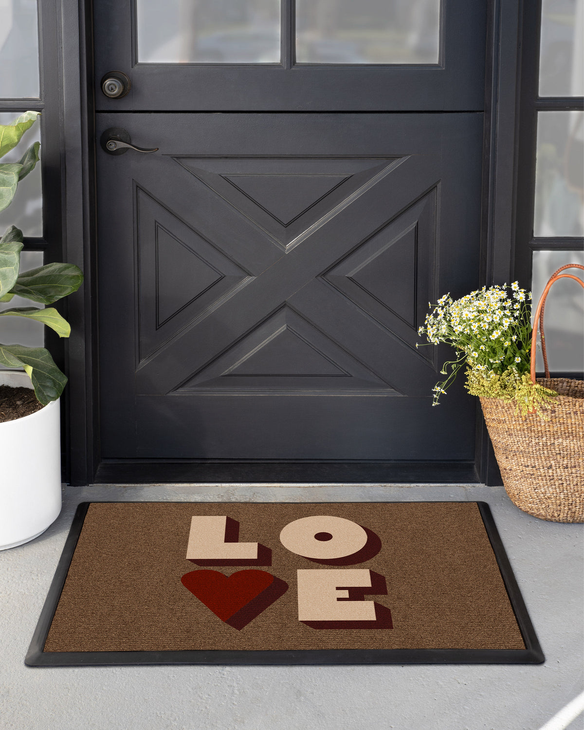 DM23_front_door