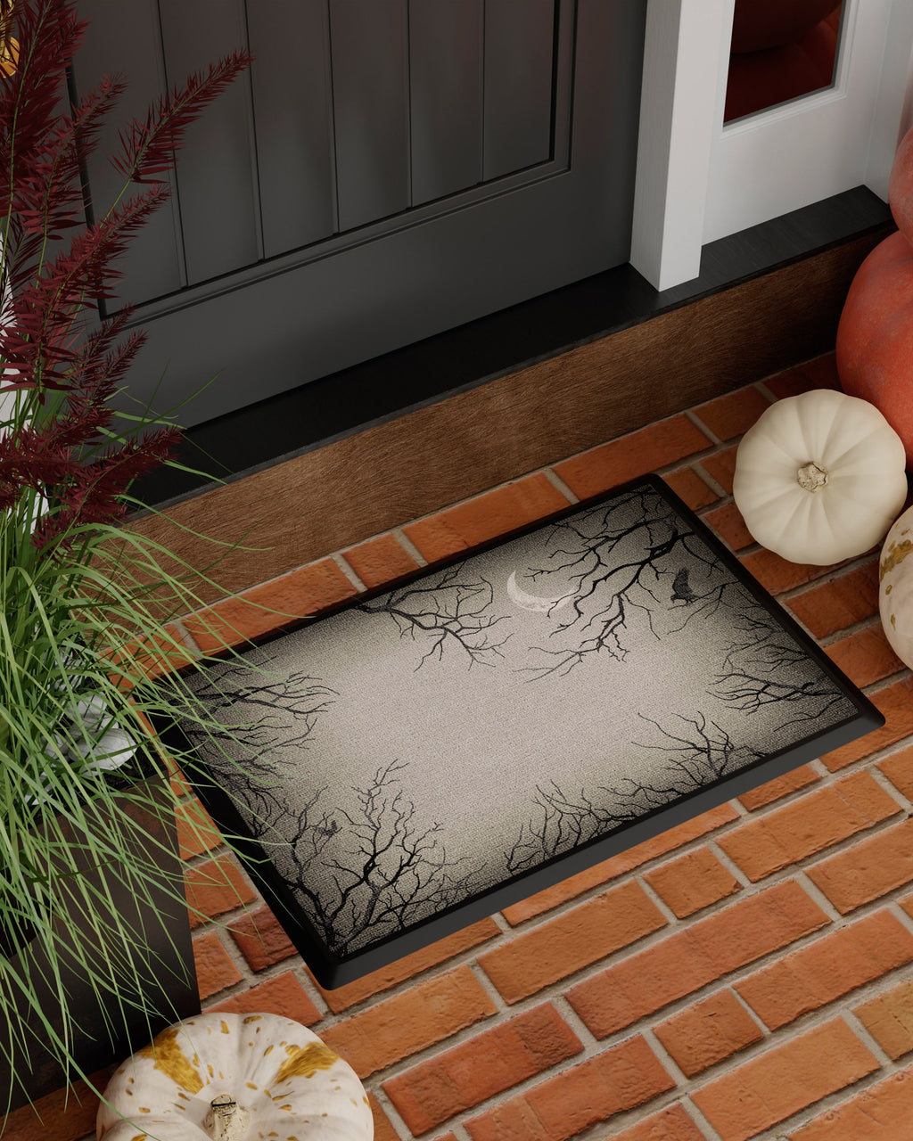 DM23_front_door
