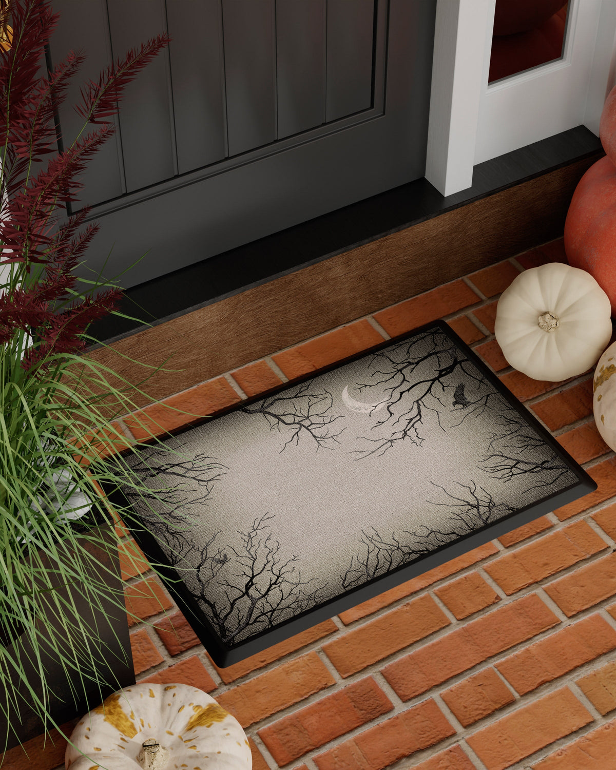 DM23_front_door