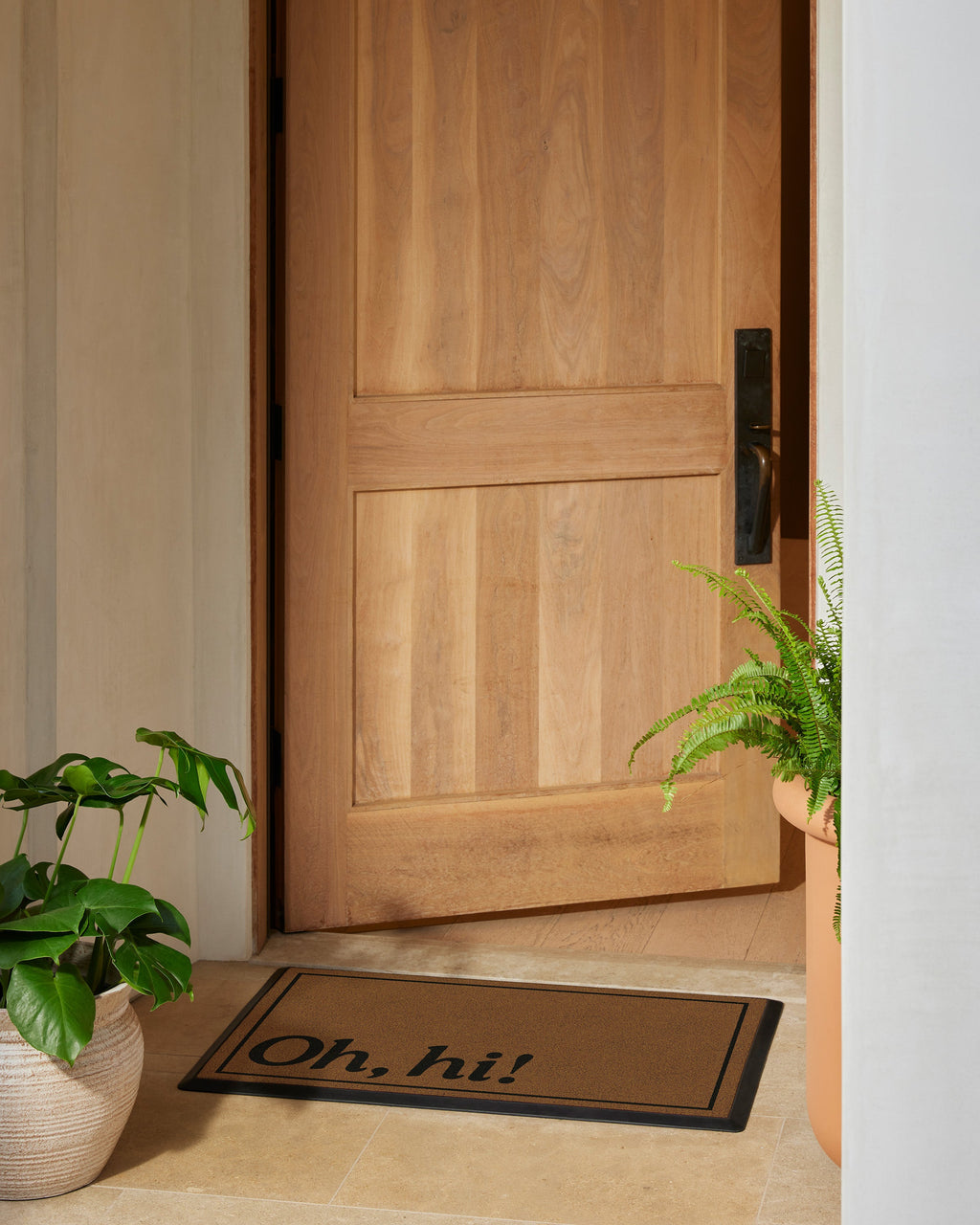 DM23_front_door