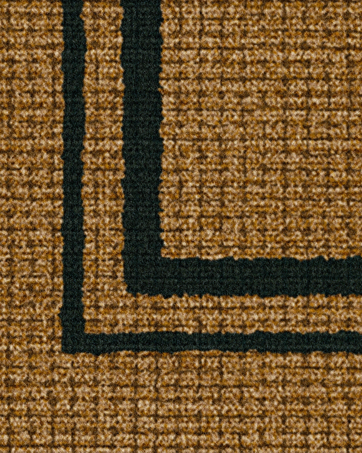 DM35