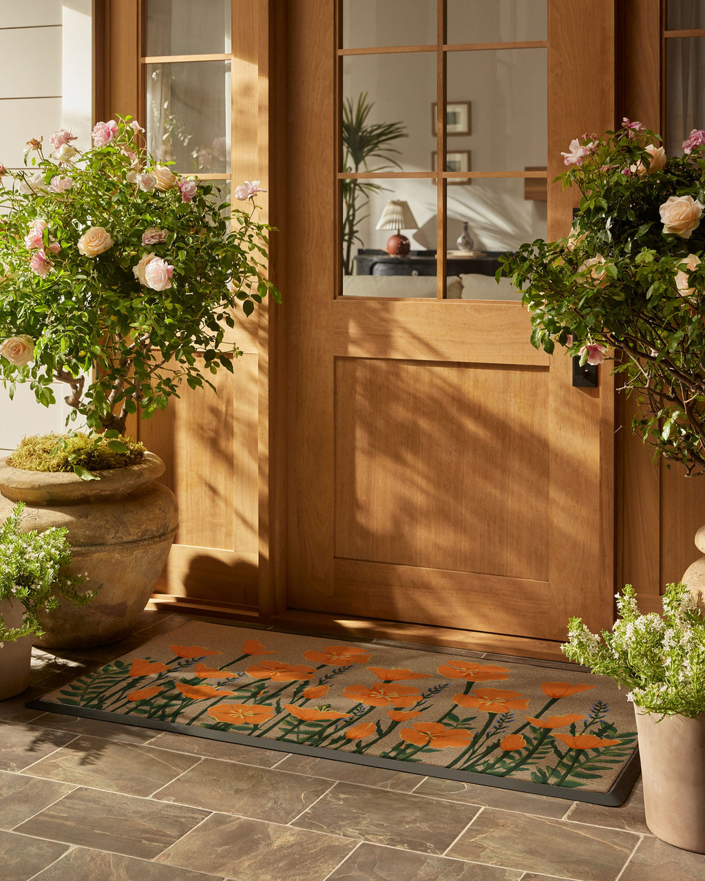 DM23_front_door