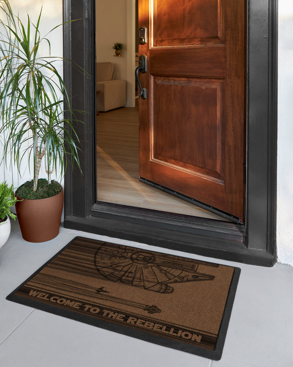 DM23_front_door