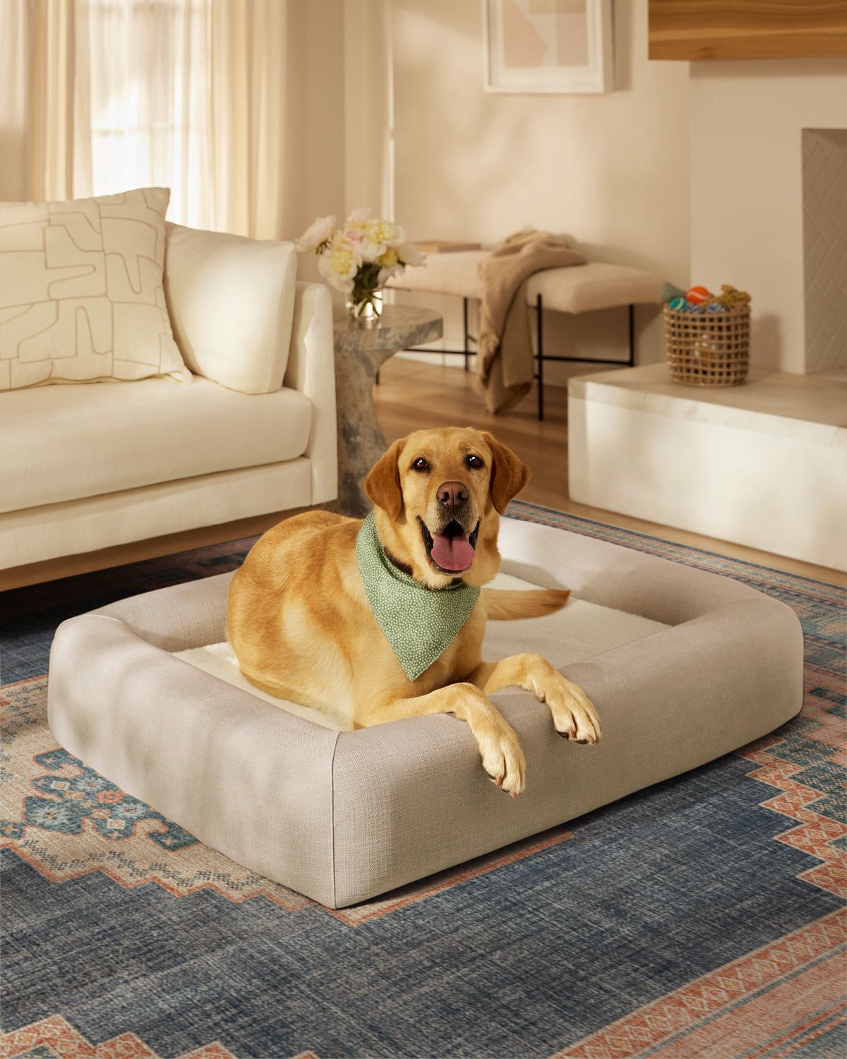 pet_bed_large
