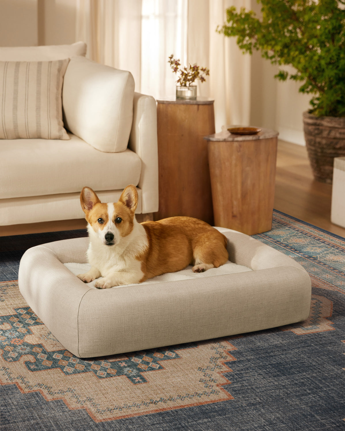 pet_bed_medium
