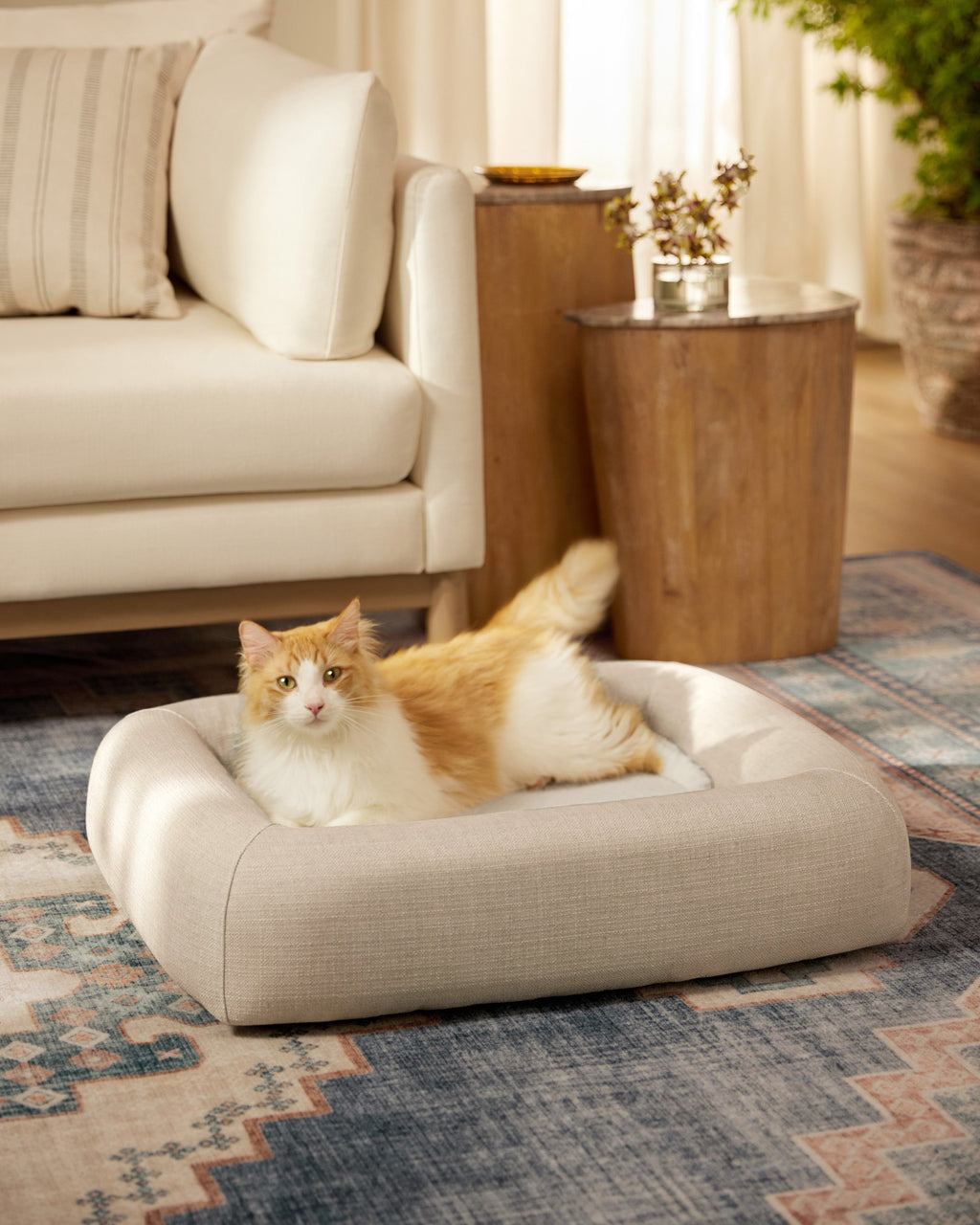 pet_bed_small