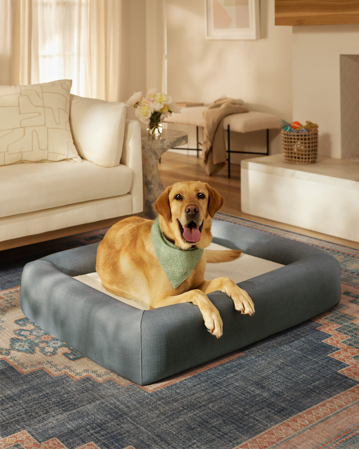 pet_bed_large