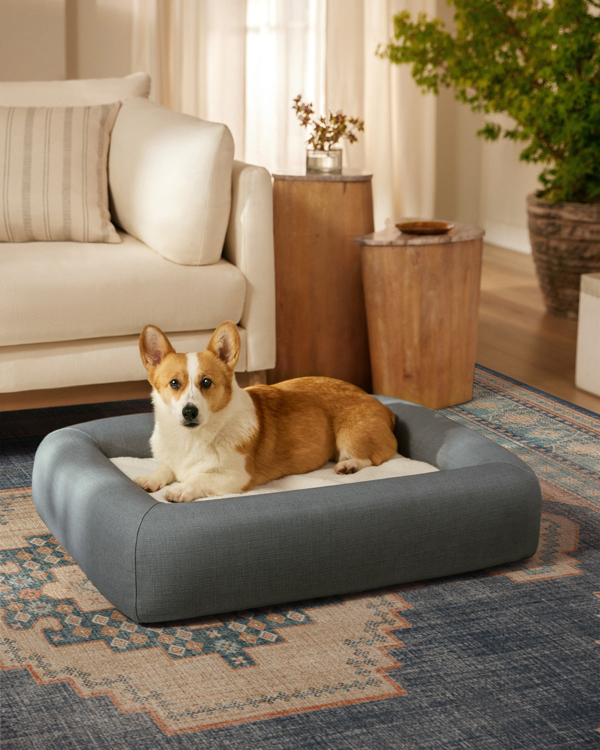pet_bed_medium
