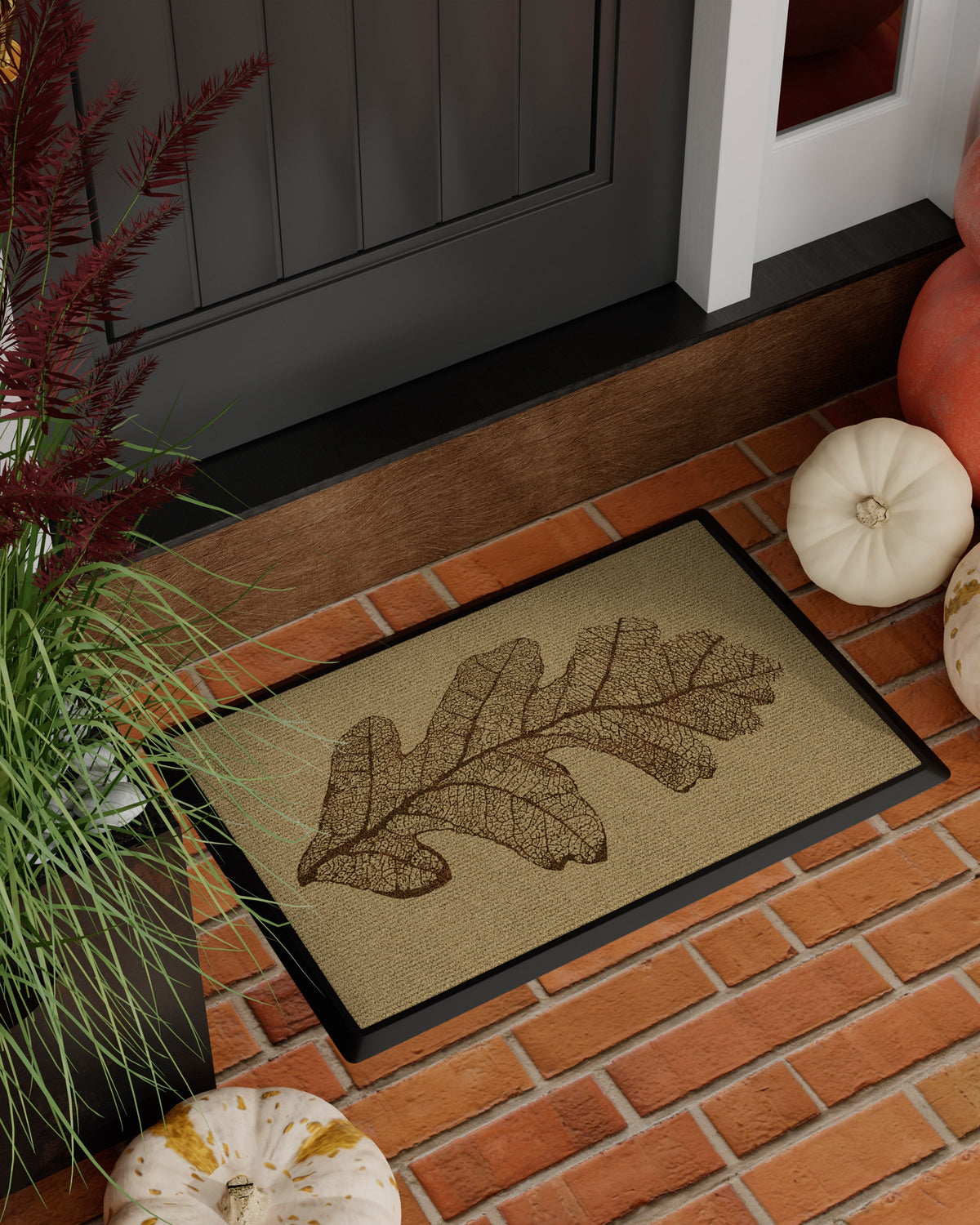 DM23_front_door
